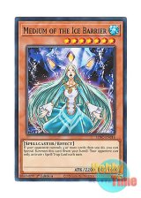 画像: 英語版 SDFC-EN016 Medium of the Ice Barrier 氷結界の交霊師 (ノーマル) 1st Edition