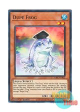 画像: 英語版 SDFC-EN022 Dupe Frog 魔知ガエル (ノーマル) 1st Edition