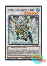 画像: 英語版 SDFC-EN042 Dewloren, Tiger King of the Ice Barrier 氷結界の虎王 ドゥローレン (ウルトラレア) 1st Edition