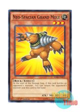 画像: 英語版 SDHS-EN013 Neo-Spacian Grand Mole N・グラン・モール (ノーマル) 1st Edition