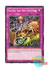 画像: 英語版 SDMP-EN038 Traptrix Trap Hole Nightmare 蟲惑の落とし穴 (ノーマル) 1st Edition