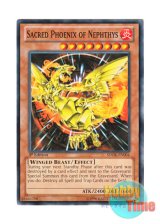 画像: 英語版 SDOK-EN004 Sacred Phoenix of Nephthys ネフティスの鳳凰神 (ノーマル) 1st Edition