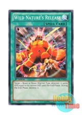 画像: 英語版 SDOK-EN026 Wild Nature's Release 野性解放 (ノーマル) 1st Edition