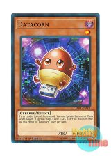 画像: 英語版 SDPL-EN001 Datacorn ドングルドングリ (ノーマル) 1st Edition