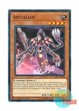 画像: 英語版 SDPL-EN006 Antialian アンチエイリアン (ノーマル) 1st Edition