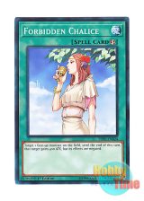 画像: 英語版 SDPL-EN024 Forbidden Chalice 禁じられた聖杯 (ノーマル) 1st Edition