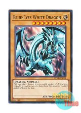 画像: 英語版 SDWD-EN001 Blue-Eyes White Dragon 青眼の白龍 (ノーマル) 1st Edition