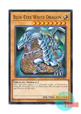 画像: 英語版 SDWD-EN002 Blue-Eyes White Dragon 青眼の白龍 (ノーマル) 1st Edition