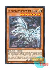 画像: 英語版 SDWD-EN005 Blue-Eyes Alternative White Dragon 青眼の亜白龍 (ノーマル) 1st Edition