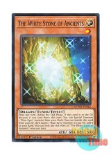 画像: 英語版 SDWD-EN012 The White Stone of Ancients 太古の白石 (ノーマル) 1st Edition