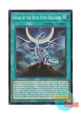 画像: 英語版 SDWD-EN019 Roar of the Blue-Eyed Dragons 青眼龍轟臨 (スーパーレア) 1st Edition