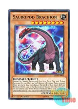 画像: 英語版 SR04-EN008 Sauropod Brachion 竜脚獣ブラキオン (ノーマル) 1st Edition