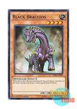 画像: 英語版 SR04-EN010 Black Brachios 暗黒ブラキ (ノーマル) 1st Edition