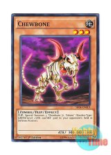 画像: 英語版 SR04-EN019 Chewbone チュウボーン (ノーマル) 1st Edition