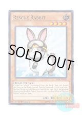 画像: 英語版 SR04-EN020 Rescue Rabbit レスキューラビット (ノーマル) 1st Edition