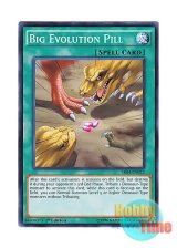 画像: 英語版 SR04-EN023 Big Evolution Pill 大進化薬 (ノーマル) 1st Edition