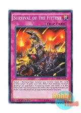 画像: 英語版 SR04-EN031 Survival of the Fittest 生存競争 (ノーマル) 1st Edition