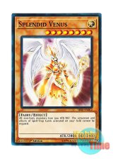 画像: 英語版 SR05-EN012 Splendid Venus The splendid VENUS (ノーマル) 1st Edition