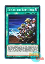 画像: 英語版 SR05-EN030 Ties of the Brethren 同胞の絆 (ノーマル) 1st Edition