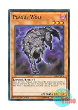 画像: 英語版 SR06-EN016 Plague Wolf 疫病狼 (ノーマル) 1st Edition