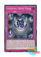 画像: 英語版 SR06-EN030 Grinning Grave Virus 悪のデッキ破壊ウイルス (スーパーレア) 1st Edition