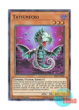 画像: 英語版 SR07-EN000 Tatsunecro タツネクロ (スーパーレア) 1st Edition