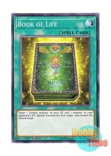 画像: 英語版 SR07-EN027 Book of Life 生者の書－禁断の呪術－ (ノーマル) 1st Edition