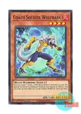 画像: 英語版 SR14-EN011 Coach Soldier Wolfbark 熱血獣士ウルフバーク (ノーマル) 1st Edition