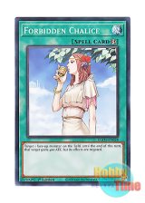 画像: 英語版 EGO1-EN028 Forbidden Chalice 禁じられた聖杯 (ノーマル) 1st Edition