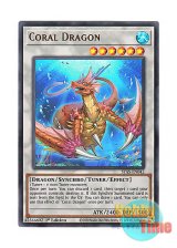 画像: 英語版 STAS-EN042 Coral Dragon 瑚之龍 (ウルトラレア) 1st Edition