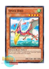 画像: 英語版 YS11-EN008 Speed Bird スピッド・バード (ノーマル) 1st Edition