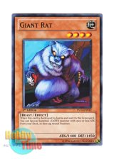 画像: 英語版 YS11-EN012 Giant Rat 巨大ネズミ (ノーマル) 1st Edition