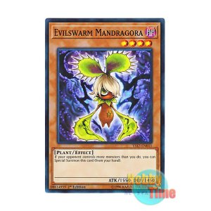 画像: 英語版 YS17-EN011 Evilswarm Mandragora ヴェルズ・マンドラゴ (ノーマル) 1st Edition