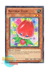 画像: 英語版 DT03-EN020 Naturia Tulip ナチュル・トライアンフ (ノーマル・パラレル)