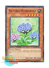 画像: 英語版 DT03-EN072 Naturia Hydrangea ナチュル・ハイドランジー (ノーマル・パラレル)