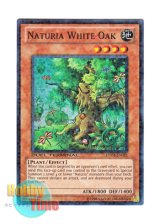 画像: 英語版 DT04-EN081 Naturia White Oak ナチュル・ホワイトオーク (スーパー・パラレル)