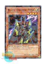 画像: 英語版 DT07-EN052 Beast-Warrior Puma 野獣戦士ピューマン (ノーマル・パラレル)