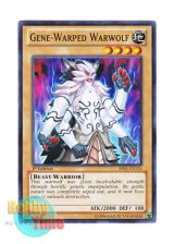 画像: 英語版 BP01-EN116 Gene-Warped Warwolf ジェネティック・ワーウルフ (ノーマル) 1st Edition