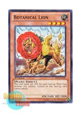 画像: 英語版 BP01-EN145 Botanical Lion ボタニカル・ライオ (ノーマル) 1st Edition