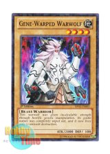 画像: 英語版 BP02-EN002 Gene-Warped Warwolf ジェネティック・ワーウルフ (ノーマル) 1st Edition