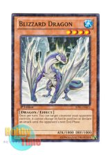 画像: 英語版 BP02-EN075 Blizzard Dragon ブリザード・ドラゴン (ノーマル) 1st Edition