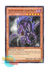 画像: 英語版 BP02-EN104 Interplanetarypurplythorny Dragon 異界の棘紫竜 (ノーマル) 1st Edition