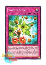 画像: 英語版 BP02-EN192 Sinister Seeds デモンバルサム・シード (ノーマル) 1st Edition