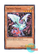 画像: 英語版 BP03-EN010 Sacred Crane 聖鳥クレイン (ノーマル) 1st Edition