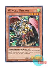 画像: 英語版 BP03-EN030 Winged Rhynos ウィングド・ライノ (レア) 1st Edition