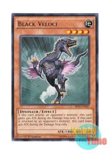 画像: 英語版 BP03-EN037 Black Veloci 暗黒ヴェロキ (レア) 1st Edition