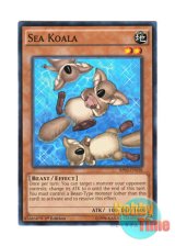 画像: 英語版 BP03-EN038 Sea Koala コアラッコ (ノーマル) 1st Edition