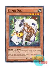 画像: 英語版 BP03-EN080 Chain Dog チェーンドッグ (ノーマル) 1st Edition