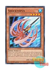 画像: 英語版 BP03-EN092 Shocktopus シャクトパス (ノーマル) 1st Edition