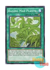 画像: 英語版 BP03-EN165 Raging Mad Plants 狂植物の氾濫 (ノーマル) 1st Edition